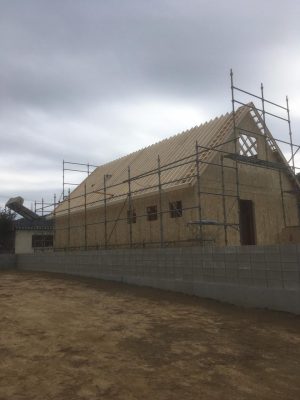 image1_2.jpeg